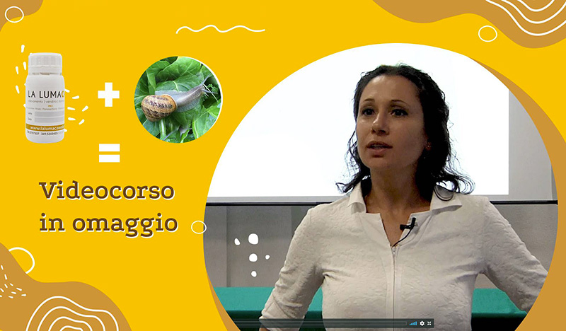videocorso allevamento lumache